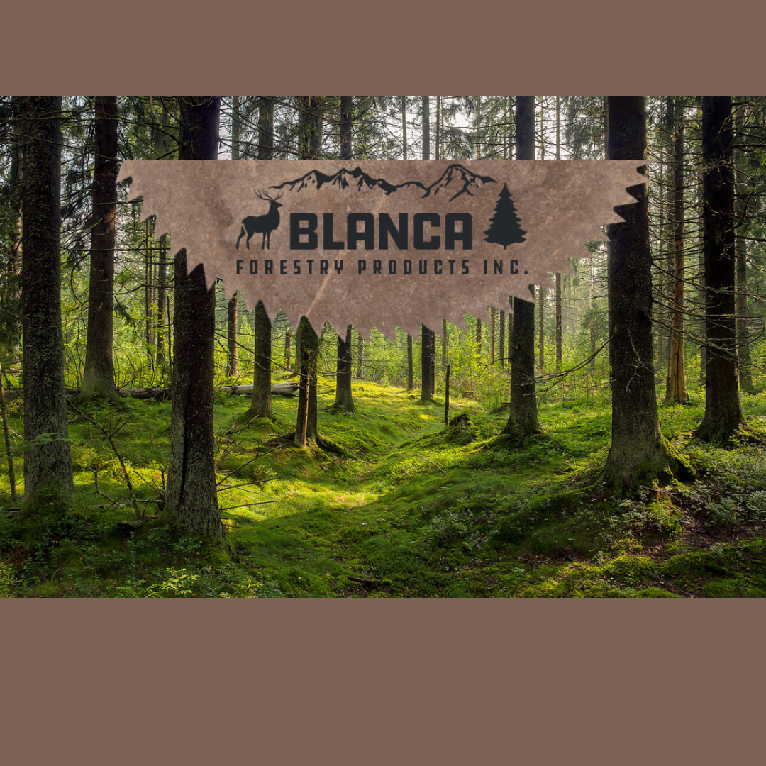 Lucidyne Scanner: Blanca Forestry Products – MiCROTEC Stands Out